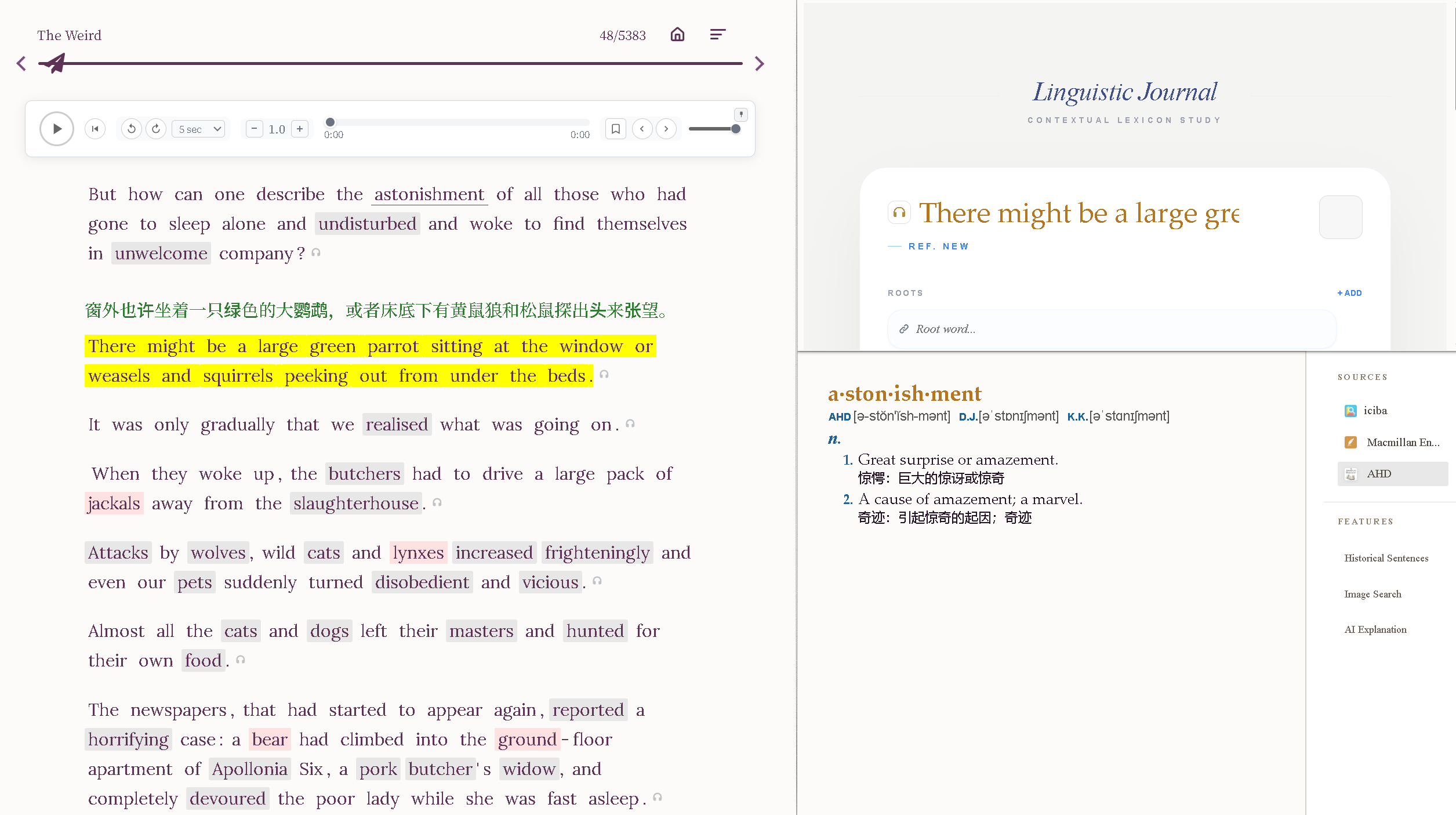 阅读页：原文、行间翻译与右侧词典